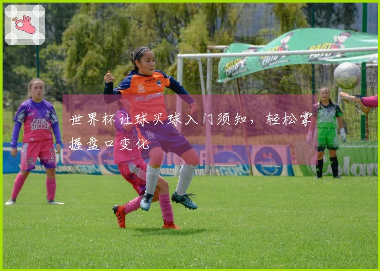 世界杯让球买球入门须知，轻松掌握盘口变化