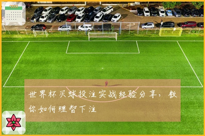 世界杯买球投注实战经验分享，教你如何理智下注