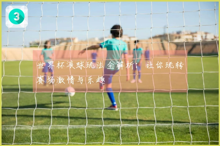 世界杯滚球玩法全解析：让你玩转赛场激情与乐趣