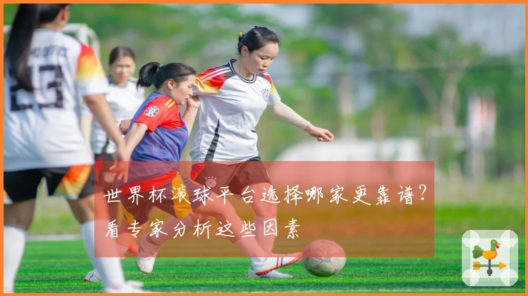 世界杯滚球平台选择哪家更靠谱？看专家分析这些因素
