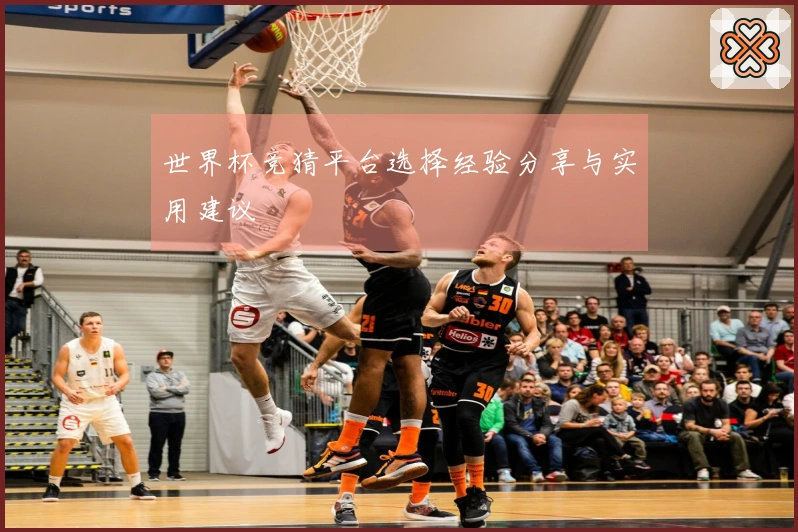 世界杯竞猜平台选择经验分享与实用建议