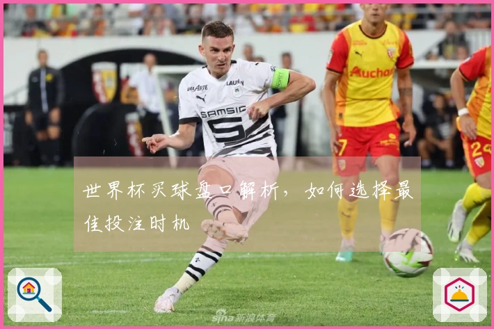 世界杯买球盘口解析，如何选择最佳投注时机
