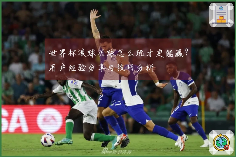 世界杯滚球买球怎么玩才更能赢？用户经验分享与技巧分析