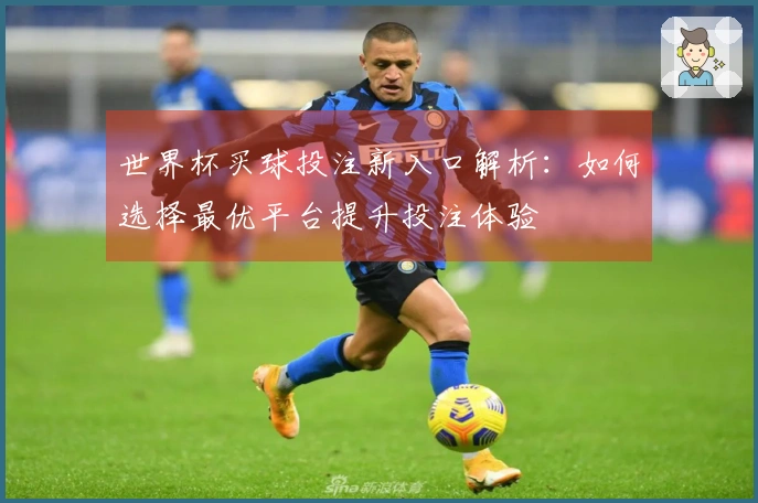 世界杯买球投注新入口解析：如何选择最优平台提升投注体验