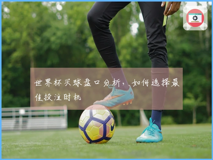 世界杯买球盘口分析，如何选择最佳投注时机