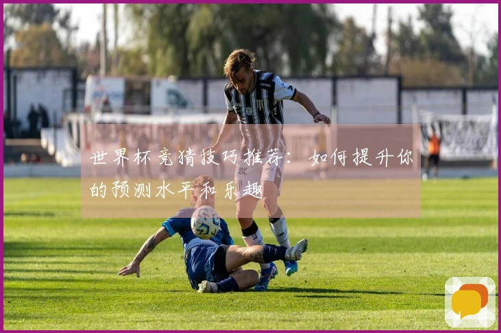世界杯竞猜技巧推荐：如何提升你的预测水平和乐趣