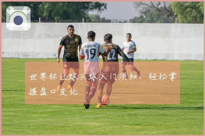 世界杯让球买球入门须知，轻松掌握盘口变化
